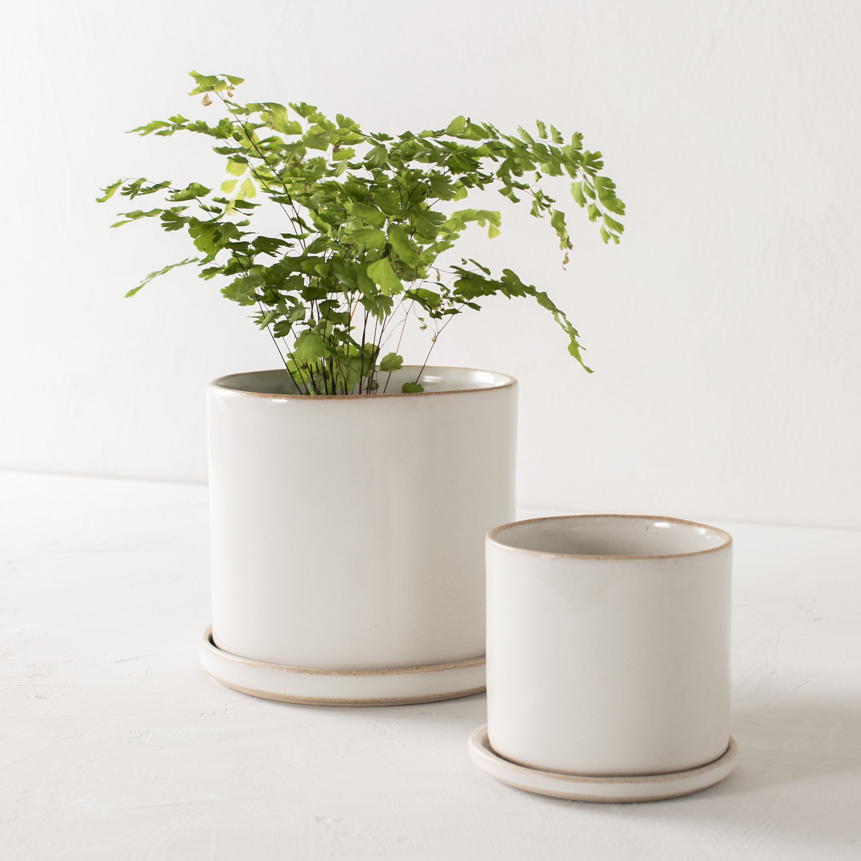 Two minimal ceramic planter close up. One larger and smaller, planters have an exposed stoneware rim and base. Larger planter has a plant inside. Handmade ceramic planter, designed and sold by Convivial Production, Kansas City ceramics.