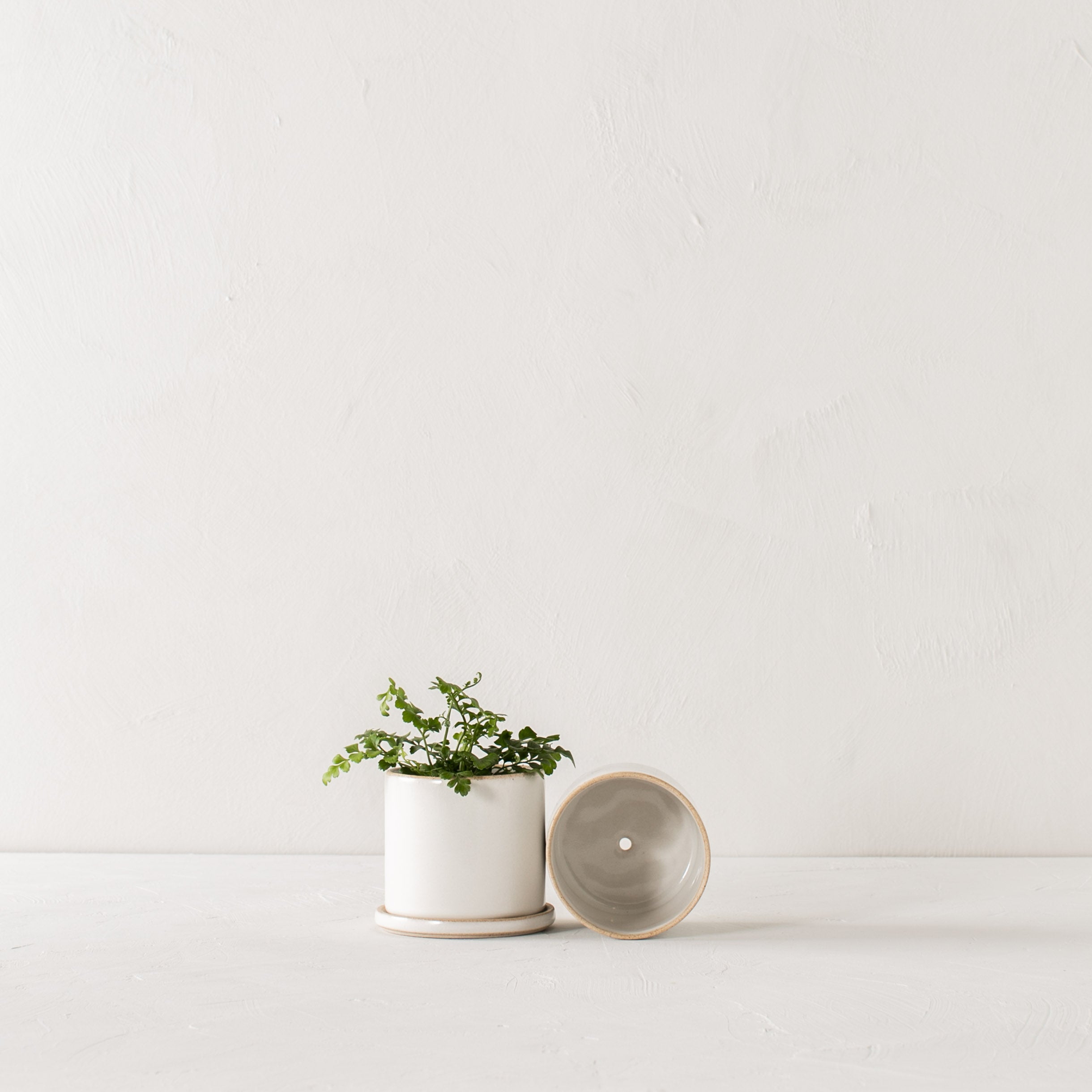 Two minimal white ceramic planters side by side. 4 inch planter and bottom dish stood upright, the other laying on its side to show off the drainage hole. Handmade ceramic planter, designed and sold by Convivial Production, Kansas City ceramics.