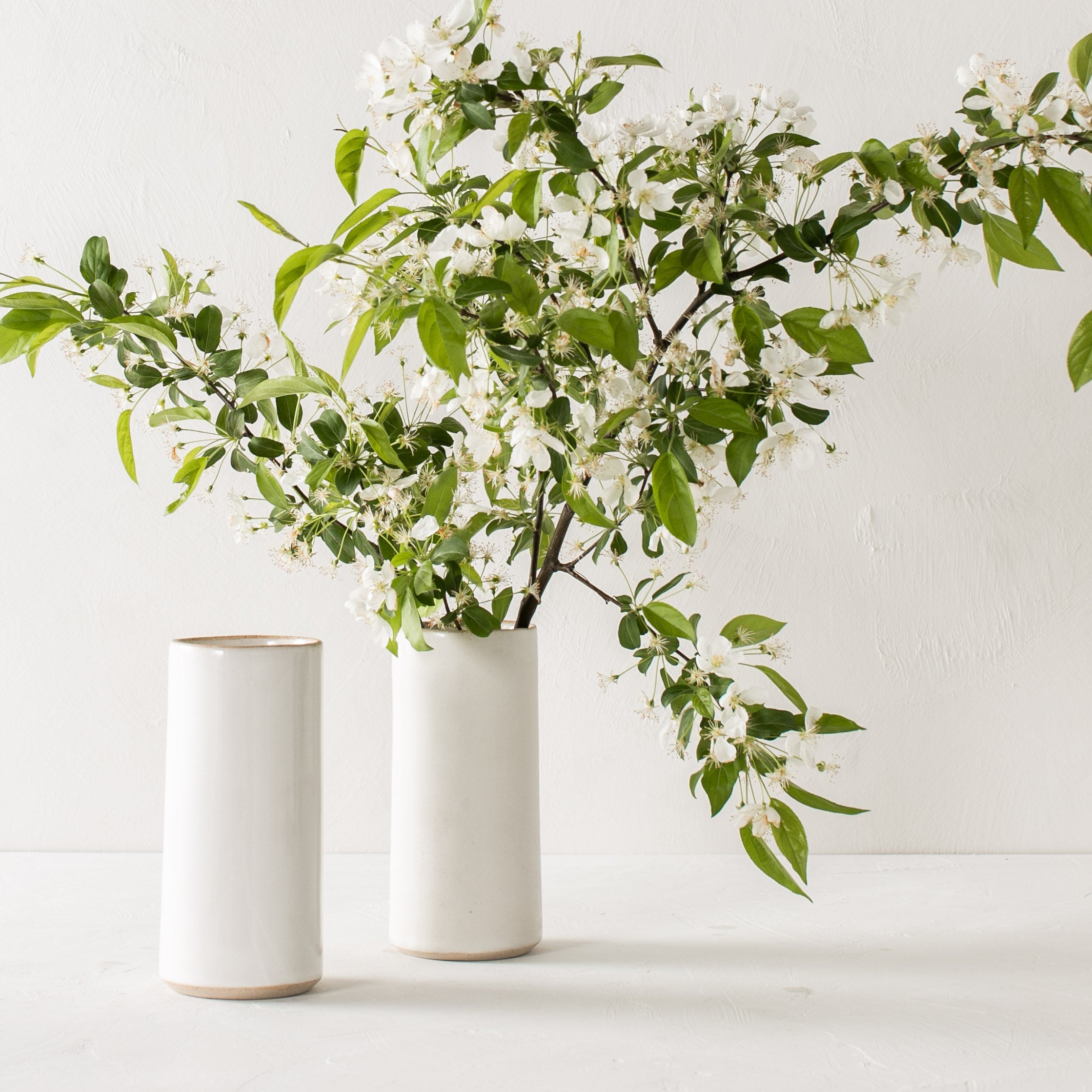 Two tall white glazed ceramic cylinder vases with an exposed stoneware rim and base. Vase holding multiple large spring white blossom branches. Staged on a white textured plaster table and a white plaster textured wall. Designed and sold by Convivial Production, Kansas City Ceramics.