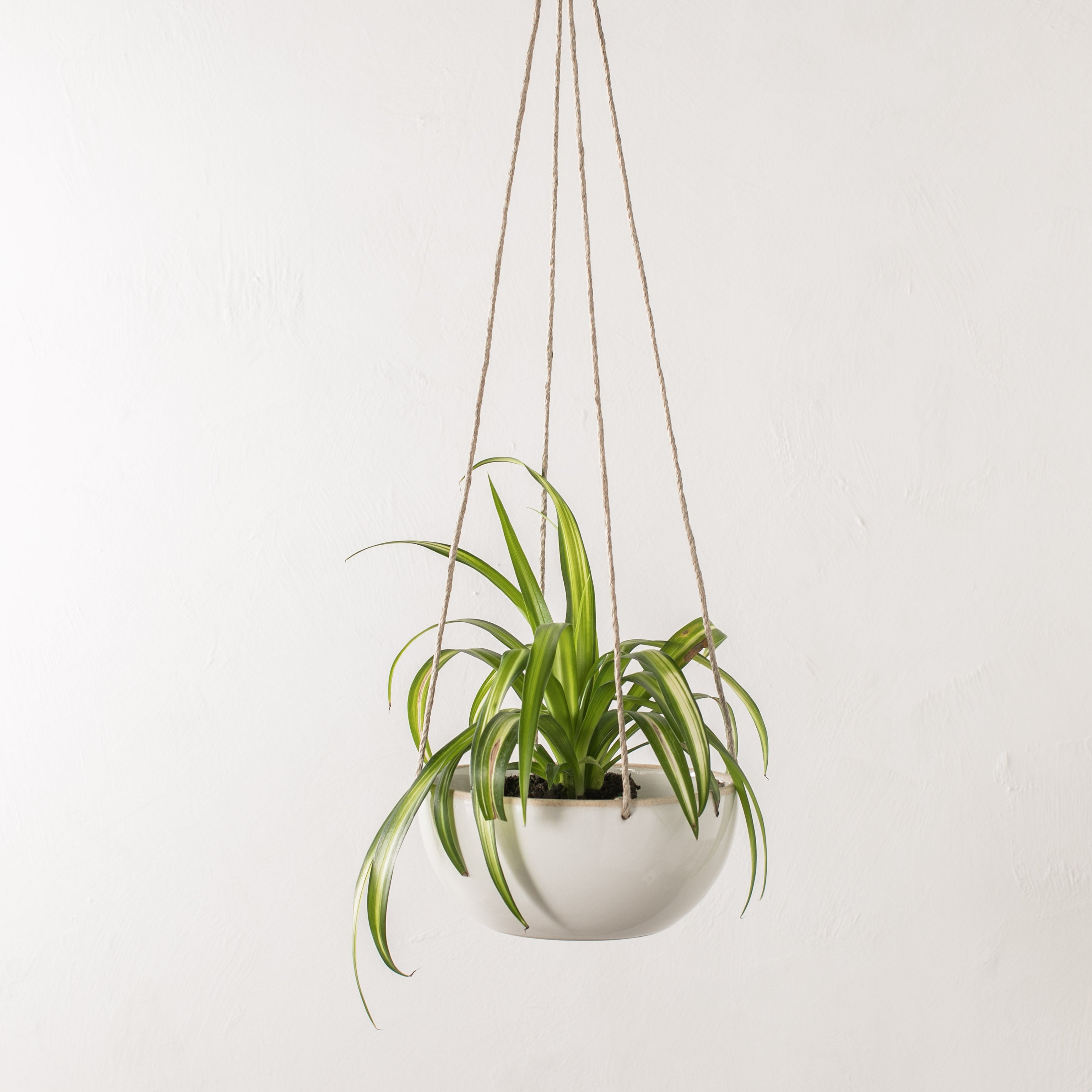 Seconds | Minimal Hanging Planter No. 1 | Hemp Cord