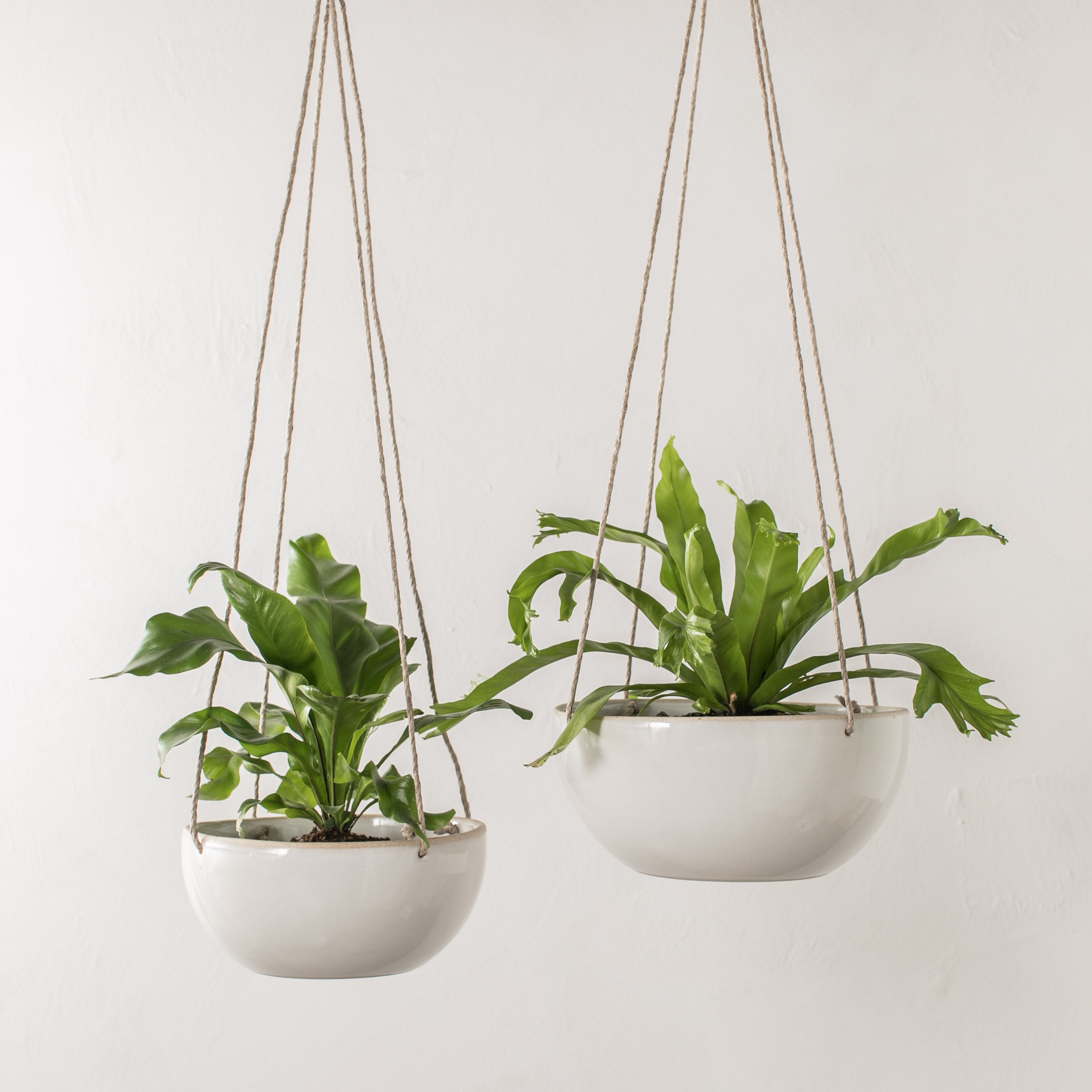 Two minimal ceramic hanging planter. Planters have an exposed stoneware rim and base. From left to right, 4 inch plater with a plant hangs by a tan hemp cord next to a hanging 6 inch planter with a plant. Handmade ceramic hanging planter, designed and sold by Convivial Production, Kansas City ceramics. 