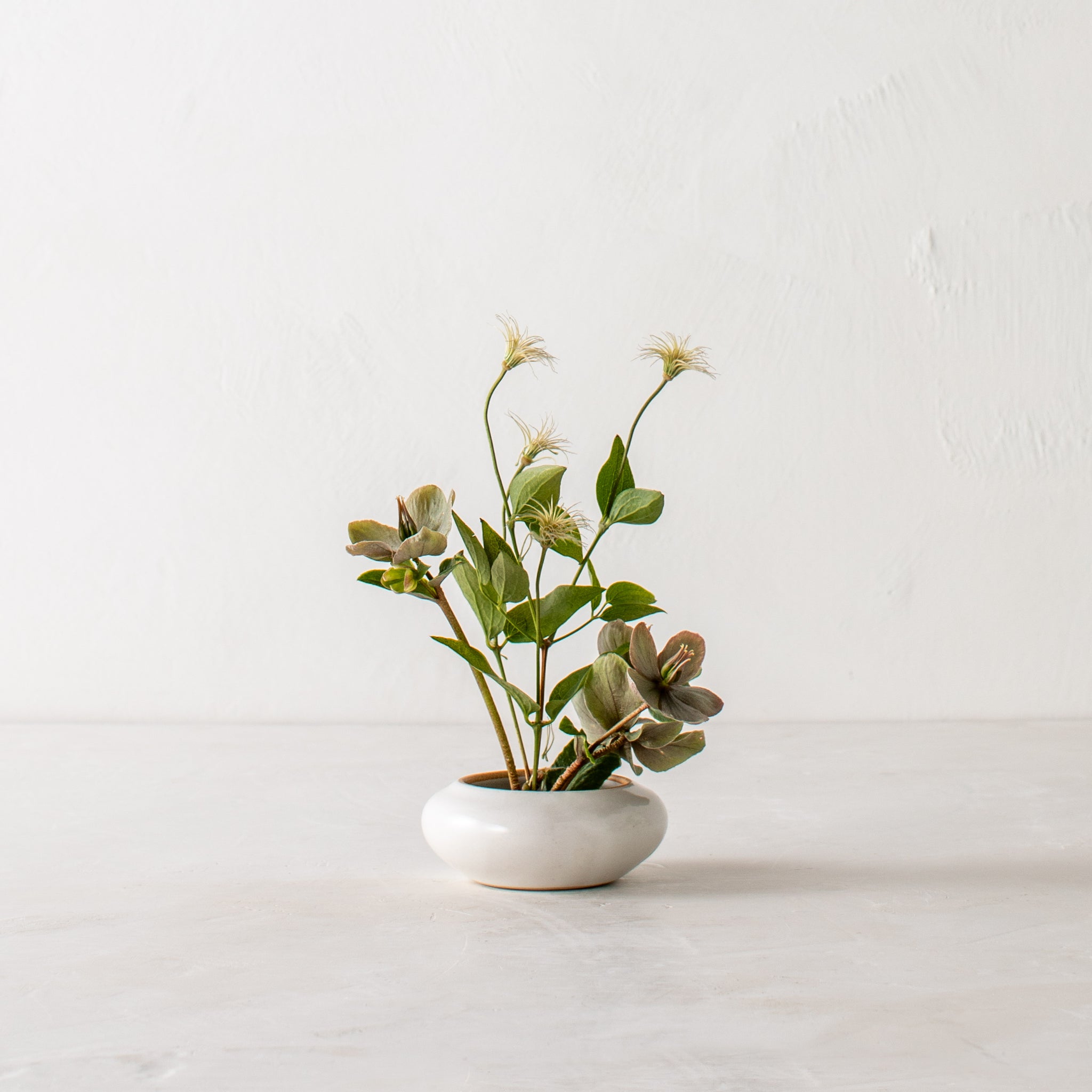 Convivial Ikebana Vase with Kenzan + sett – One Mercantile / Sett