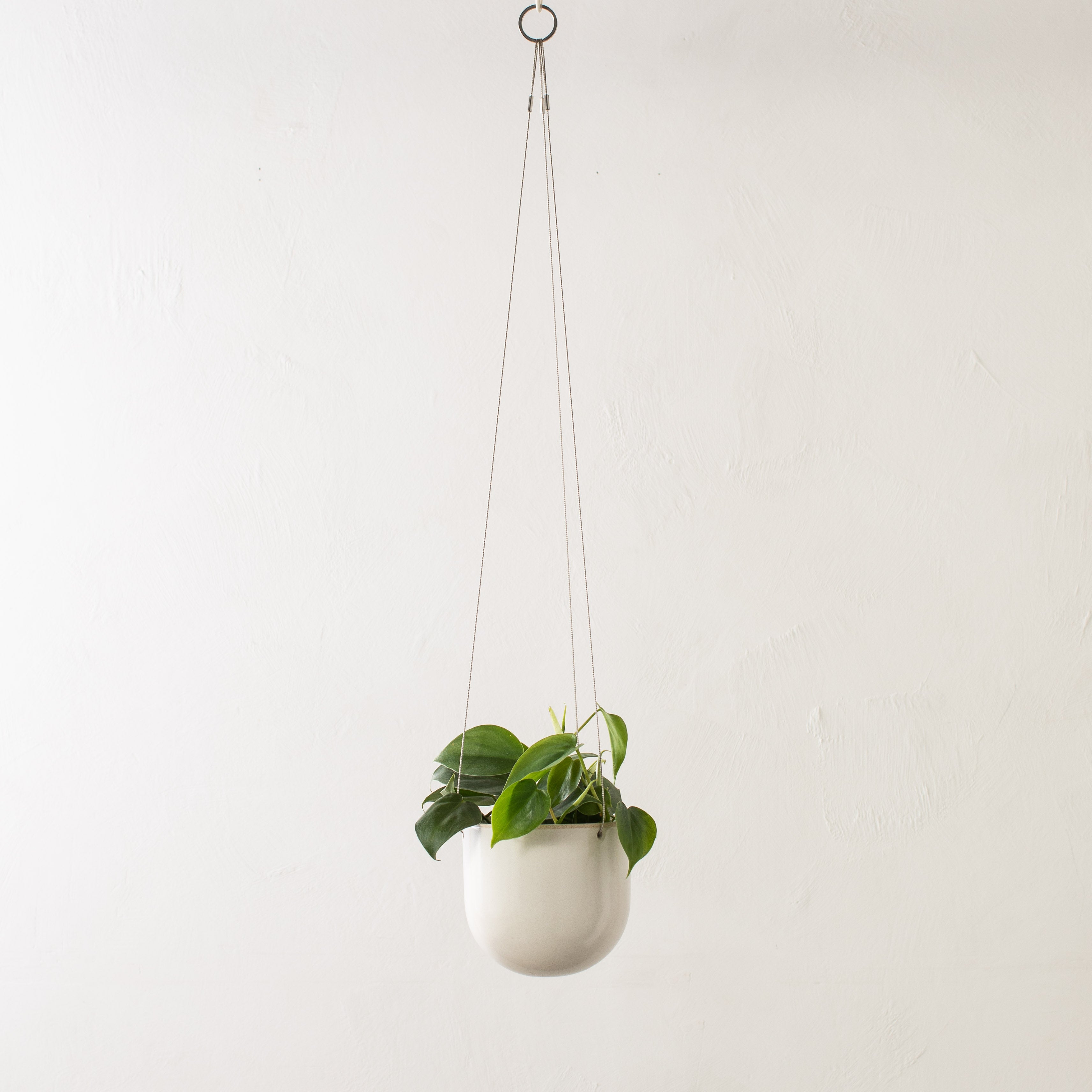 Seconds | Arched Hanging Planter No. 1 | Steel Cord
