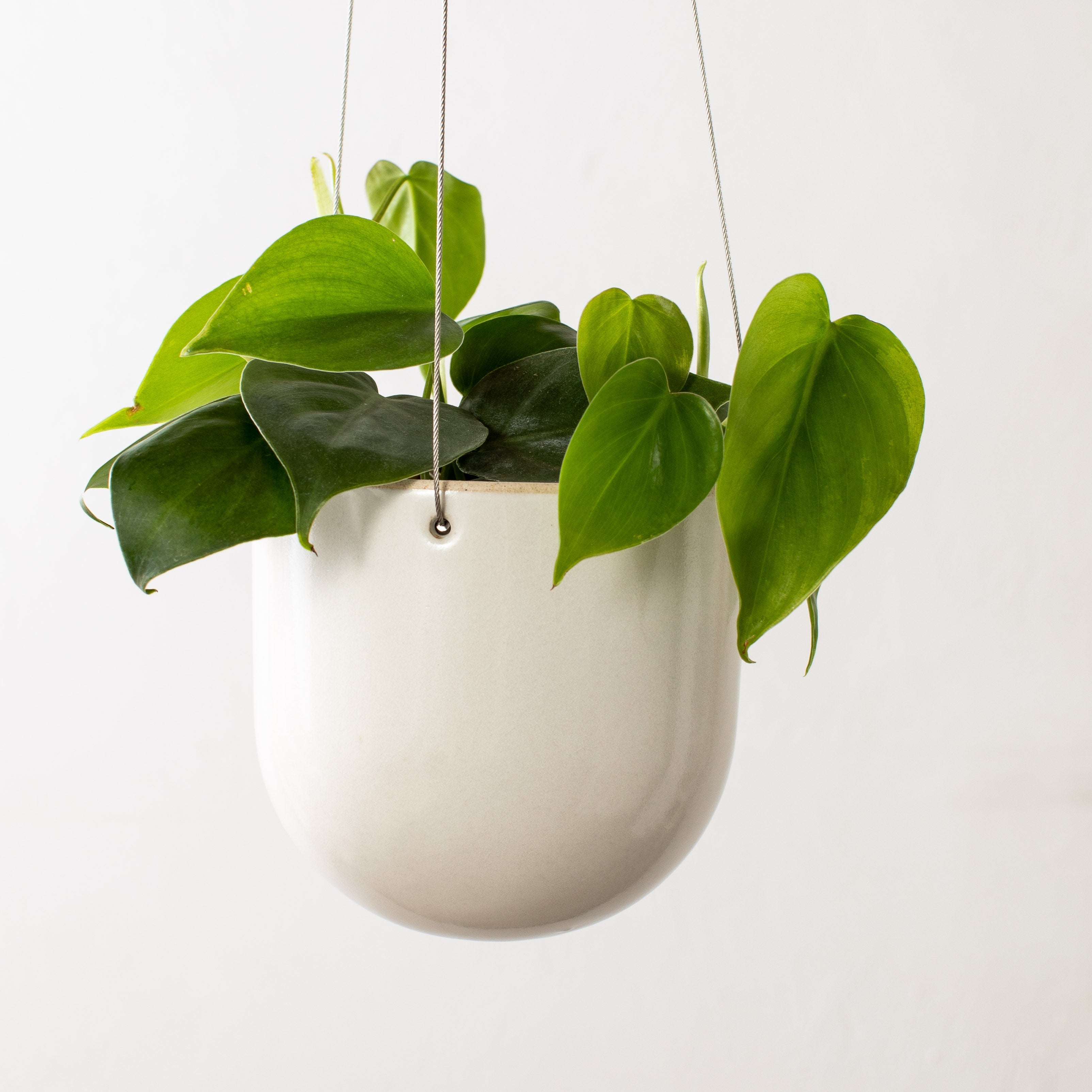 Seconds | Arched Hanging Planter No. 1 | Steel Cord