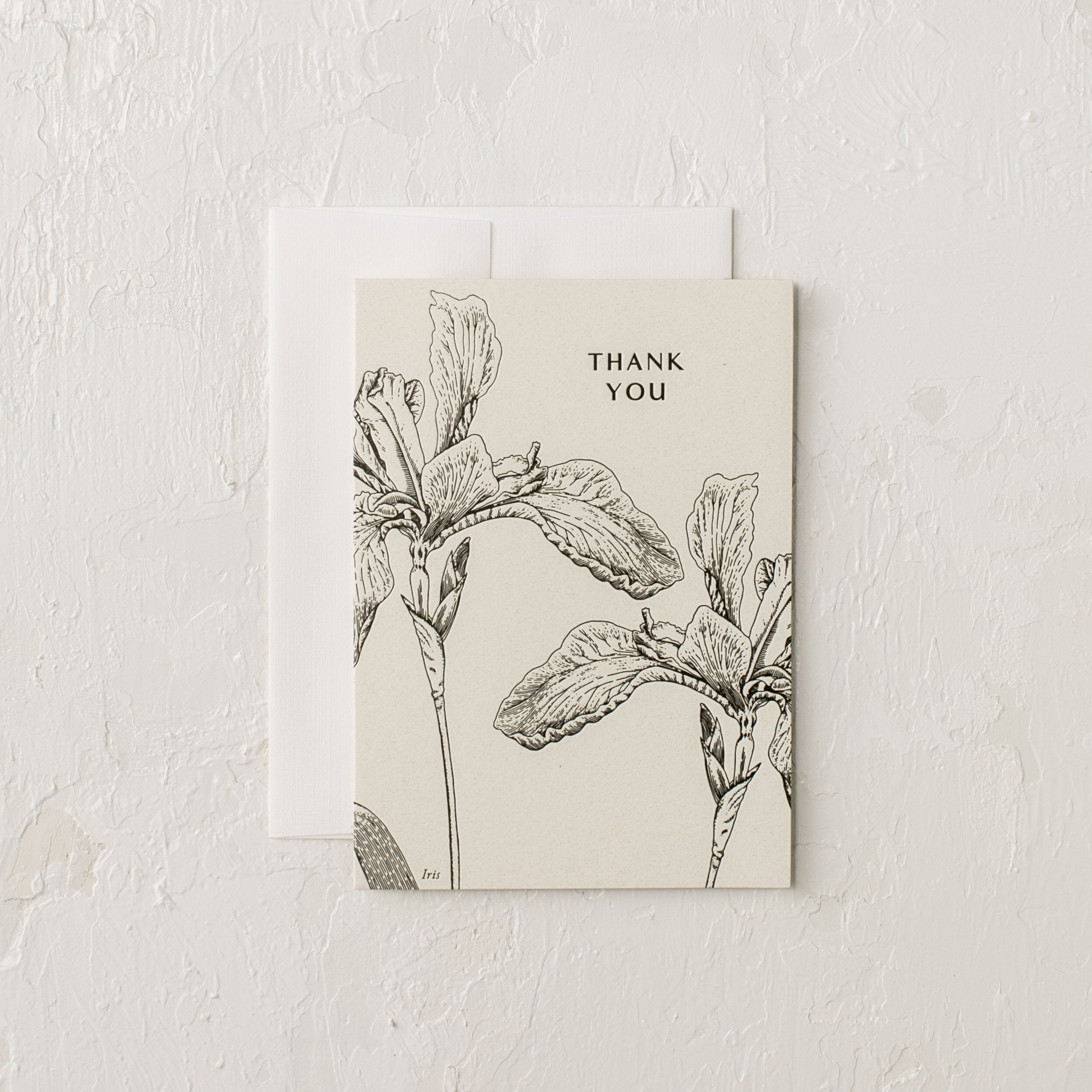 Letter pressed greeting card with a botanical illustrated Iris, "Thank You" -  Designed and sold by Verdant, Kansas City.