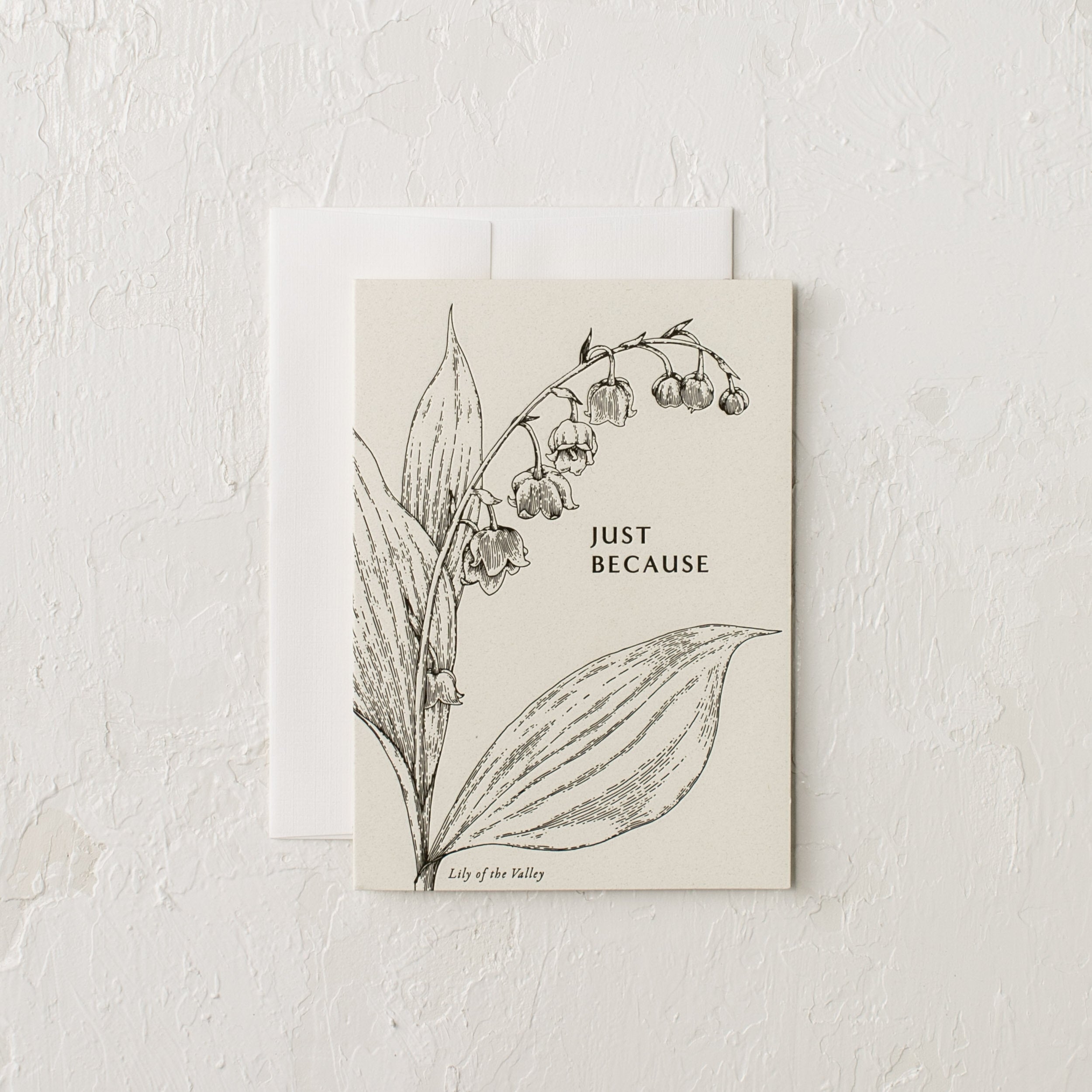 Letter-pressed greeting card with botanical illustration of a Lily of the valley. Text reads "Just Because". Designed and sold by Shop Verdant, Kansas City gift store.