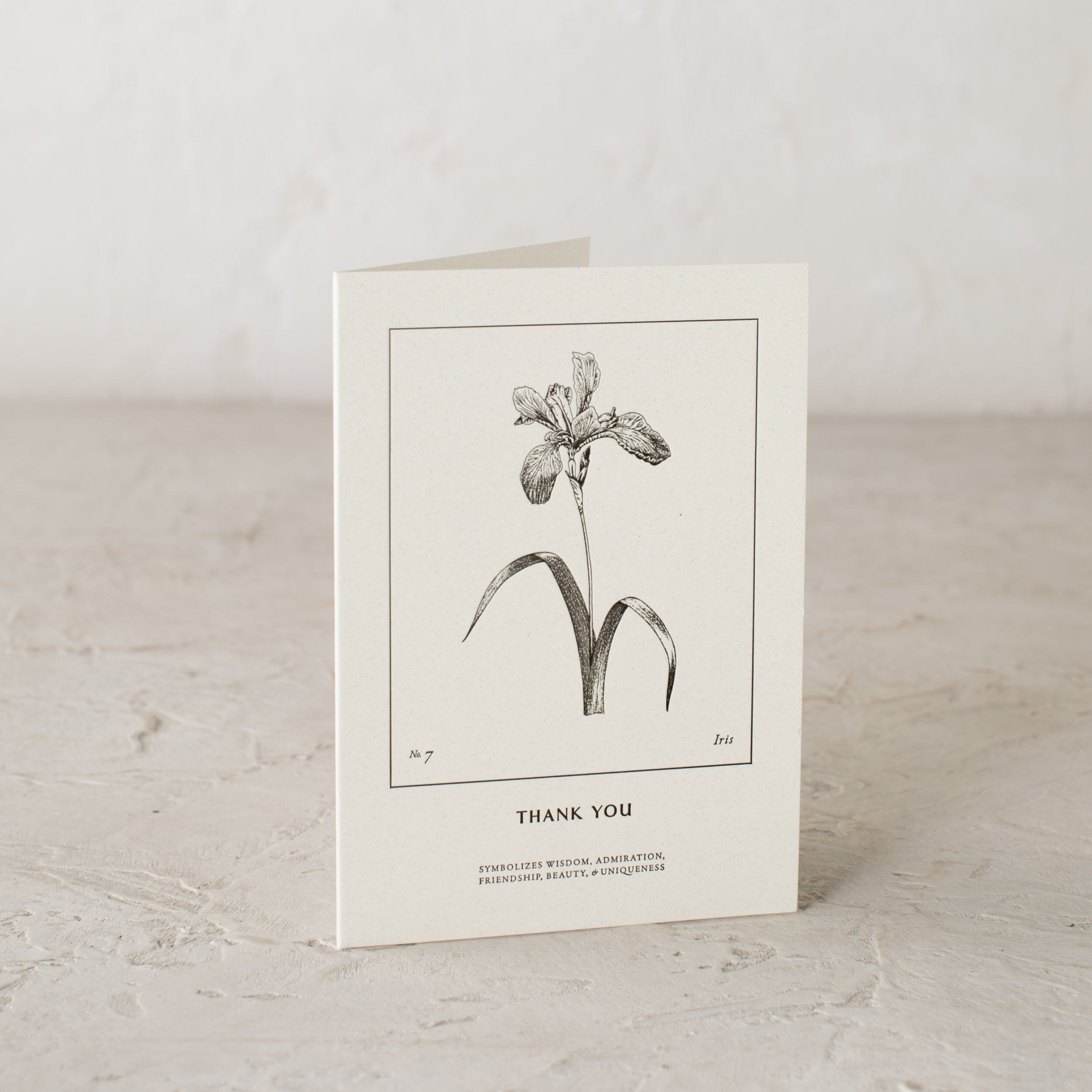 Thank You | Iris Cards