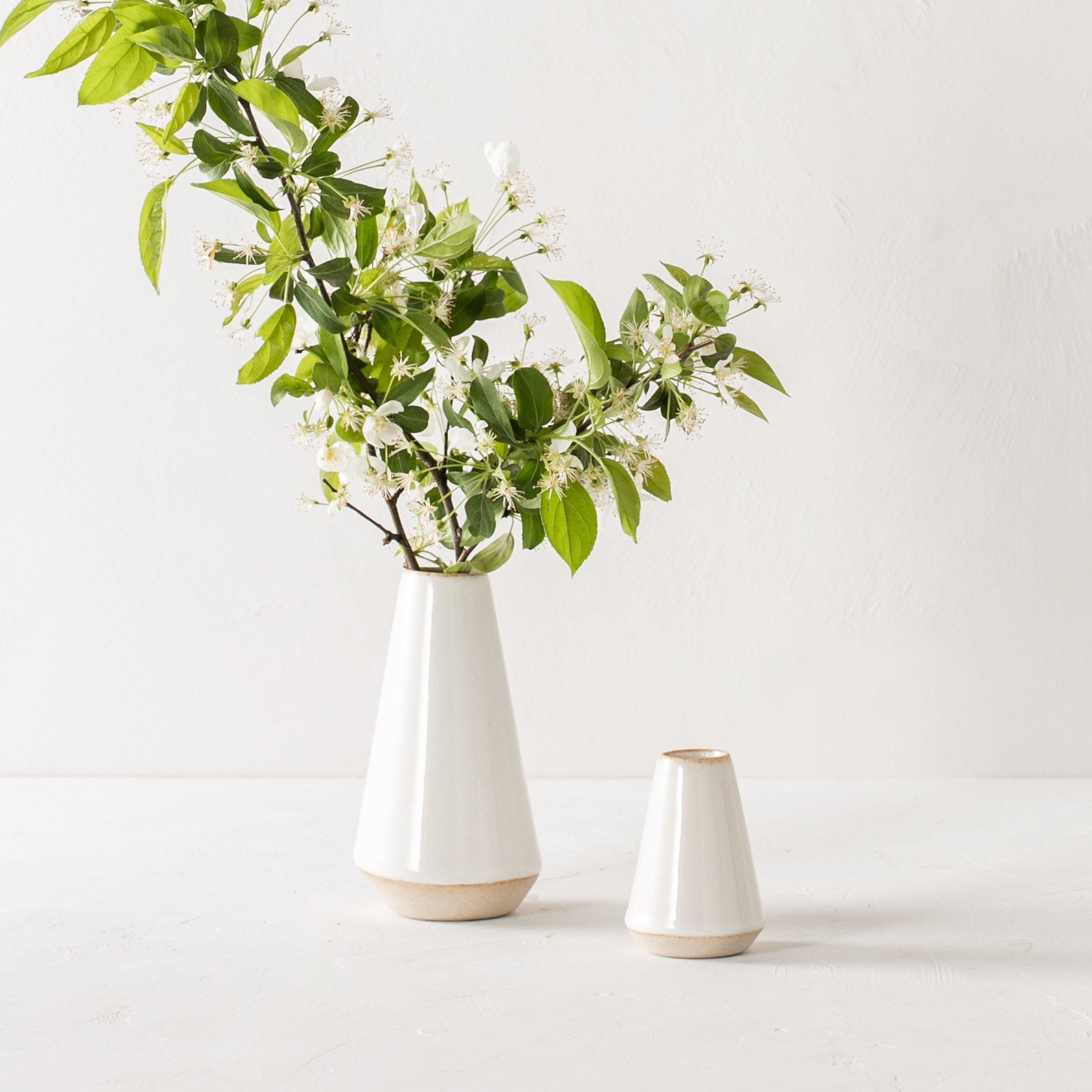Two minimal white tapered bud vases side by side, seven inch and 4 in. 7 inch has a white blossom branch inside. Handmade ceramic bud vase designed and sold by Convivial Production, Kansas City ceramics.