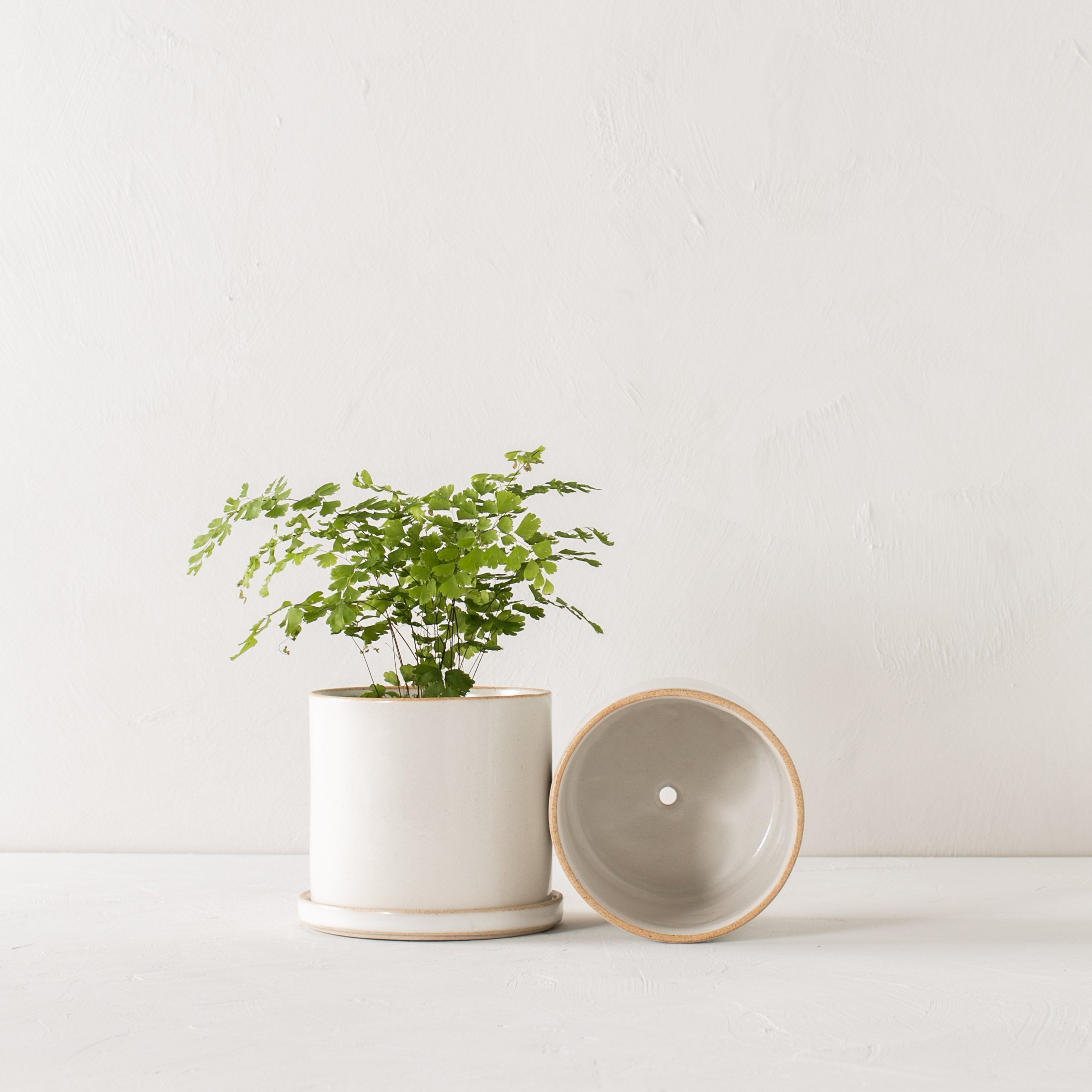 Two minimal white ceramic planters side by side. 6 inch planter and bottom dish stood upright, the other laying on its side to show off the drainage hole. Handmade ceramic planter, designed and sold by Convivial Production, Kansas City ceramics.