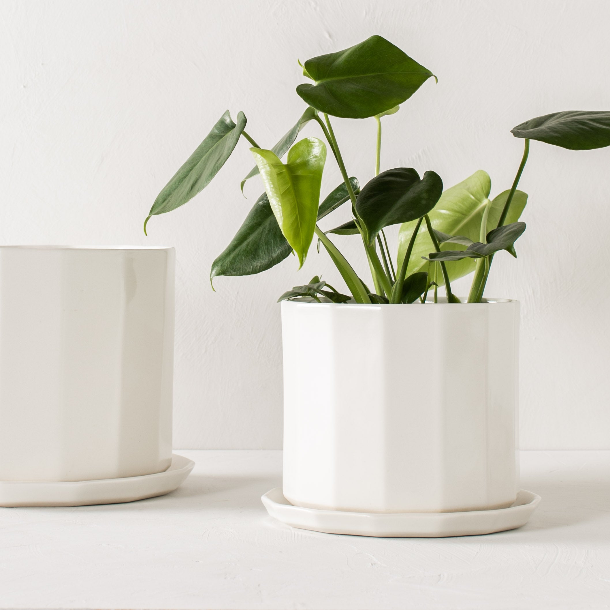 Two white geometric shaped ceramic planter staggered and staged with geometric shaped bottom drainage dish. Staged on a white plaster textured tabletop against a plaster textured white wall. Designed and sold by Convivial Production, Kansas City Ceramics.