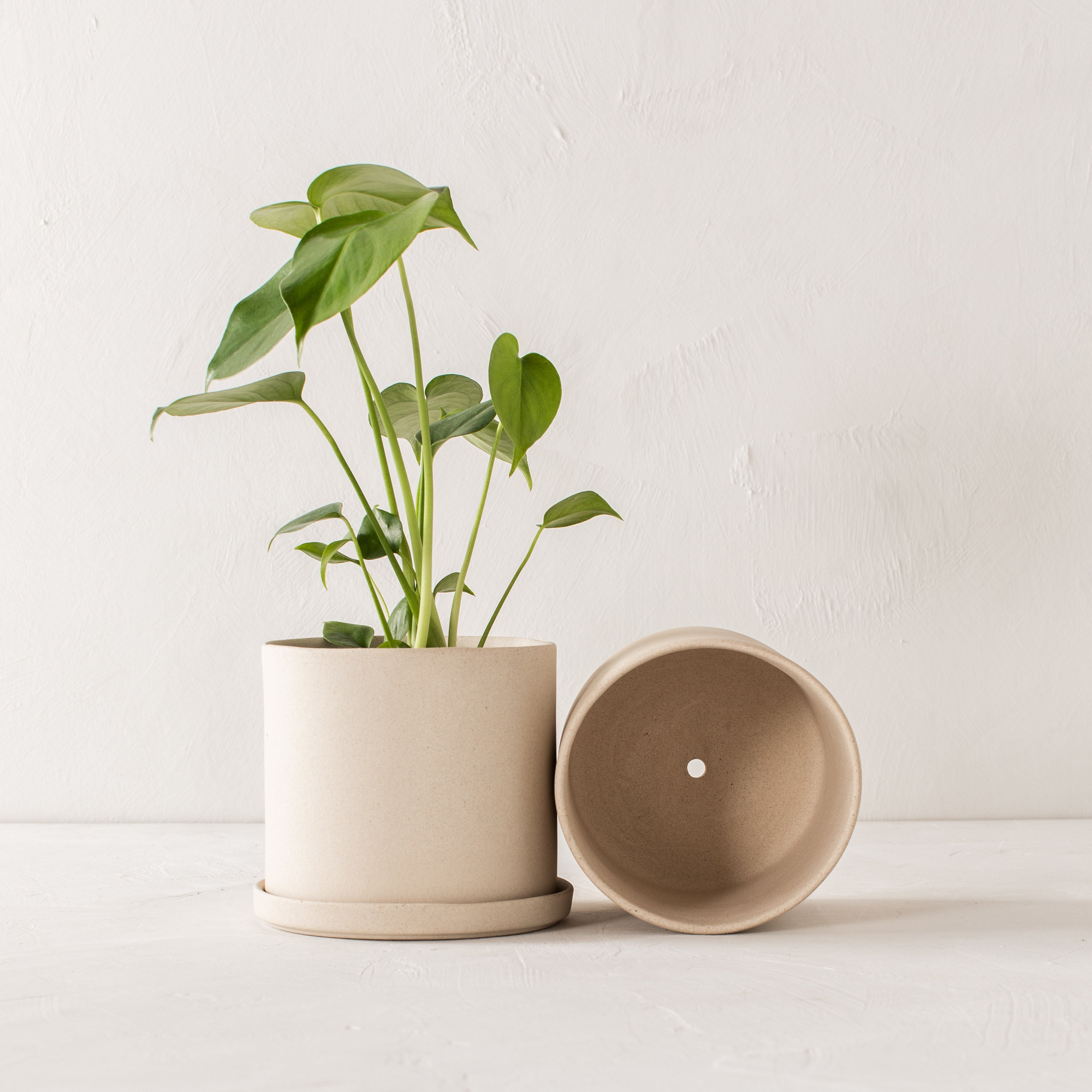Pair of stoneware planters side by side, one with a drainage dish the other lay on its side shows its drainage hole. Upright planter has a 6 inch monstera inside. Handmade ceramic planters designed and sold by Convivial production. Kansas City ceramics.